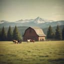 Ranch Life in Southwest Virginia