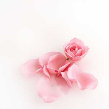 يرجع فينا الماضي