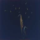 A Moonlit Rendezvous