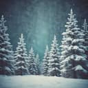 Gesungener Weihnachtsgruß „Wir wünschen Euch allen eine besinnliche Weihnacht“