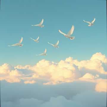 أحلام الورق
