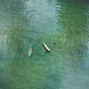 Ruslic Hai La Pescuit