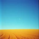 25 июля навсегда