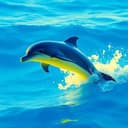 Oliver, the Water's Roar