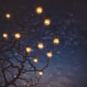 Mariage lamine Leila 