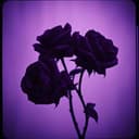 Crimson Moon Serenade