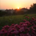 Mi Amanecer Presente