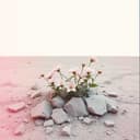 Broken Dreams by Marie