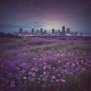 Ruinenmeer der Sehnsucht