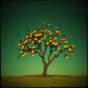 Amintirea paradisului g7