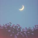 مَارِيَا… قَصِيدَةُ العُمرِ