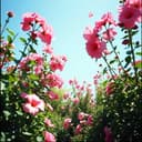 Cancion para Primitivo y Antonia de sus hijos 