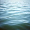 O Fluxo Silencioso do Braço