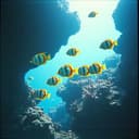 Saipan Nights Forever