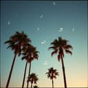 Dancing Through the Night