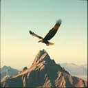 From the Mud to the Skies