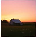 Whispers of the Strings