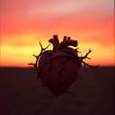 Por qué las mujeres engañan 