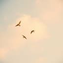 Se a vida fosse fácil