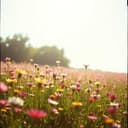 우리가족 사랑2