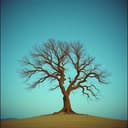 Dreams Woven Together