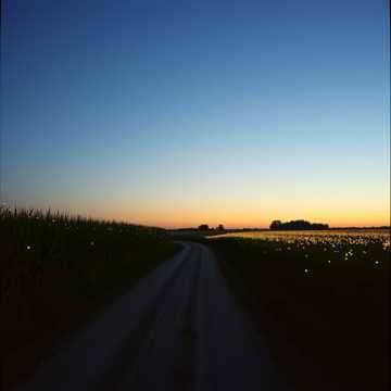 Back to the Gravel Road