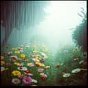 Dolce giardino sotto la pioggia