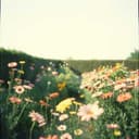 اسمي مني ودلعي منينة ريحتي مو حلوة