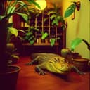 Народ, вы слышали про Антона?