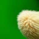 Glitchin' Through the Matrix