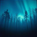 Whispers of the North