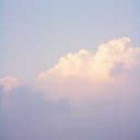 The bonds of digimon