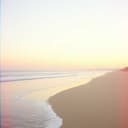 Nunca la dejaré de amar