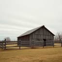 Under the Withered Oak