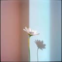 صوت طفلة تسنيم 