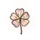 Polish Summer Nights