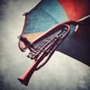 L'Hymne des Bisounours Farceurs