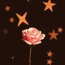 يا صغيرتي الجميلة