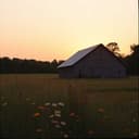 Dust on the Dashboard