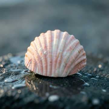 Aqui Todos Valen 1min 