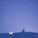 C'est l'histoire des Volunters 