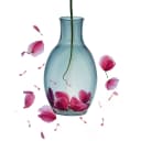 Broken Hearts and Shattered Dreams