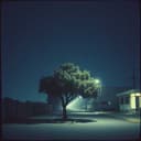 마지막 바람 (Last Wind)