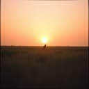 En kärlekssång till Robin, Frida och Ludwig