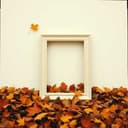 You said you were different 