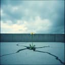 어나더 데이🥺