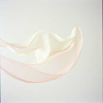 Élégance en Mouvement