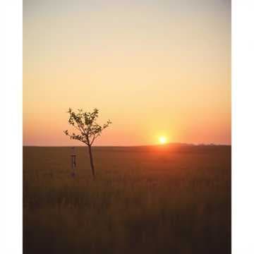 My Heart’s Greatest Joy