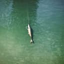 Ruslic Hai La Pescuit