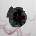 Lügen im Spiegelbild